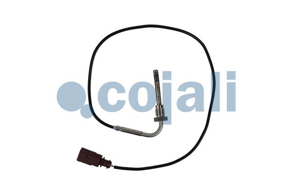 Cojali Sensor uitlaatgastemperatuur 2262020