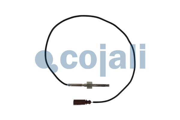 Cojali Sensor uitlaatgastemperatuur 2262021