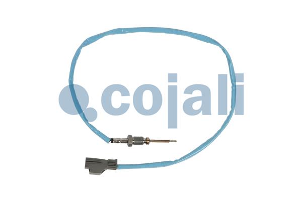 Cojali Sensor uitlaatgastemperatuur 2262026