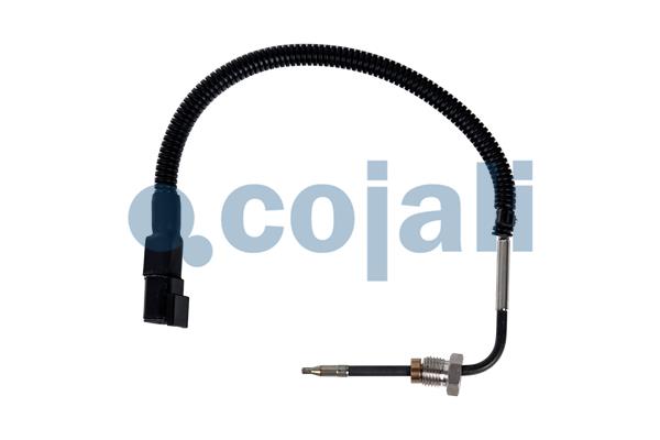 Cojali Sensor uitlaatgastemperatuur 2262065