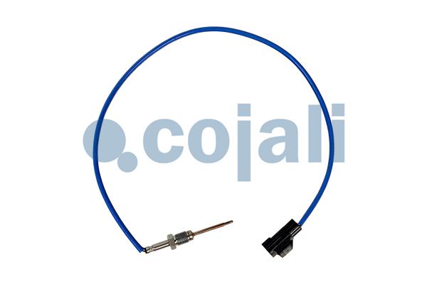 Cojali Sensor uitlaatgastemperatuur 2262068