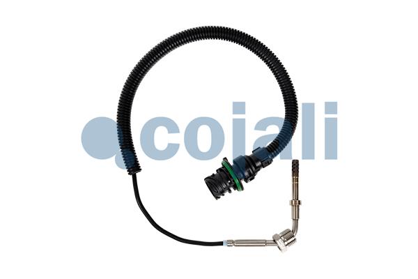 Cojali Sensor uitlaatgastemperatuur 2262659