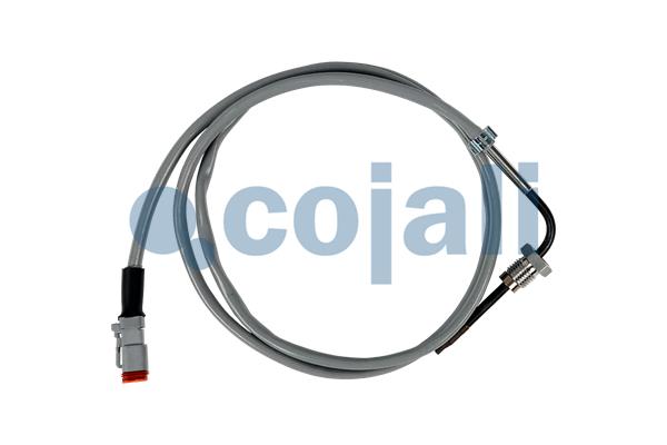 Cojali Sensor uitlaatgastemperatuur 2262666