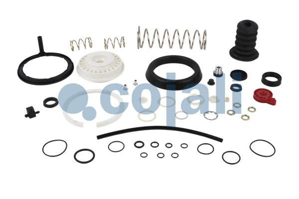 Cojali Koppelingsbekrachtiger reparatieset 6012158