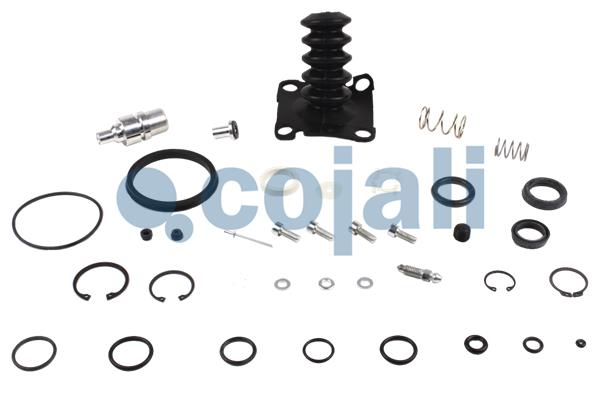 Cojali Koppelingsbekrachtiger reparatieset 6034008