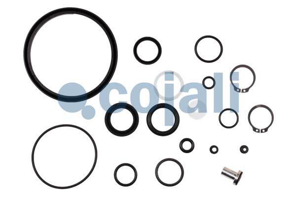 Cojali Koppelingsbekrachtiger reparatieset 6034010