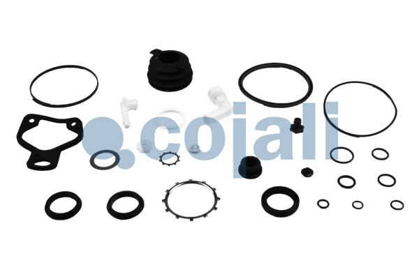 Cojali Koppelingsbekrachtiger reparatieset 6034026