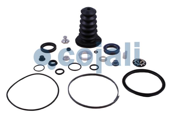 Cojali Koppelingsbekrachtiger reparatieset 6034035