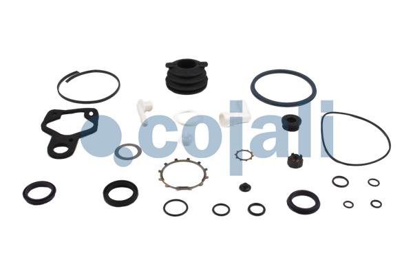 Cojali Koppelingsbekrachtiger reparatieset 6034036