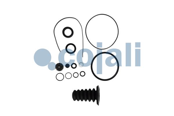 Cojali Koppelingsbekrachtiger reparatieset 6034040