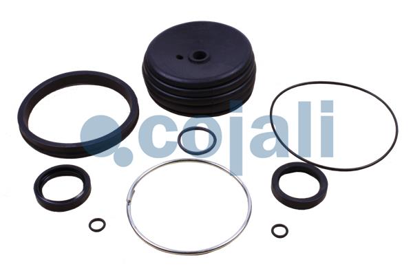 Cojali Koppelingsbekrachtiger reparatieset 6034062