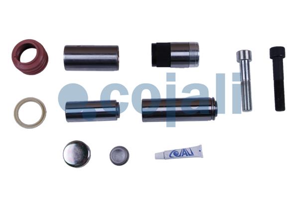 Cojali Remklauw revisie 6084009