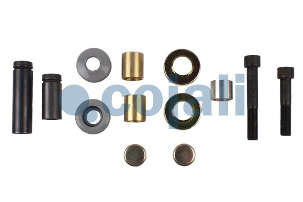 Cojali Remklauw revisie 6086019