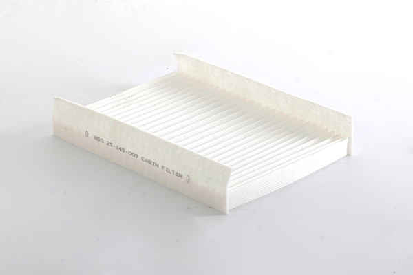 BSG Interieurfilter BSG 25-145-009