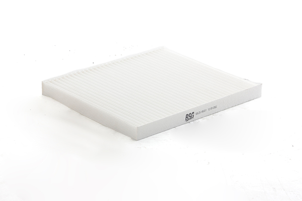 BSG Interieurfilter BSG 25-145-011