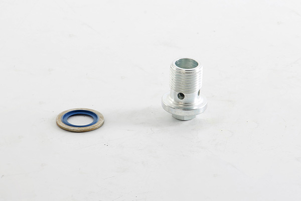 BSG Olie aftapplug / carterplug BSG 25-230-001