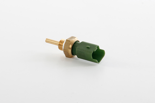 BSG Temperatuursensor BSG 25-840-007