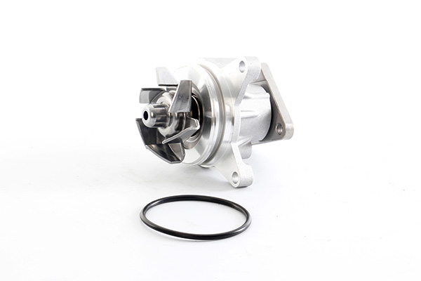 BSG Waterpomp BSG 30-500-025