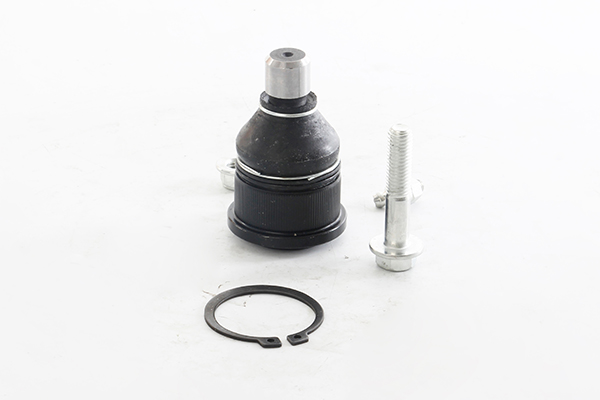 BSG Fuseekogel BSG 55-310-001