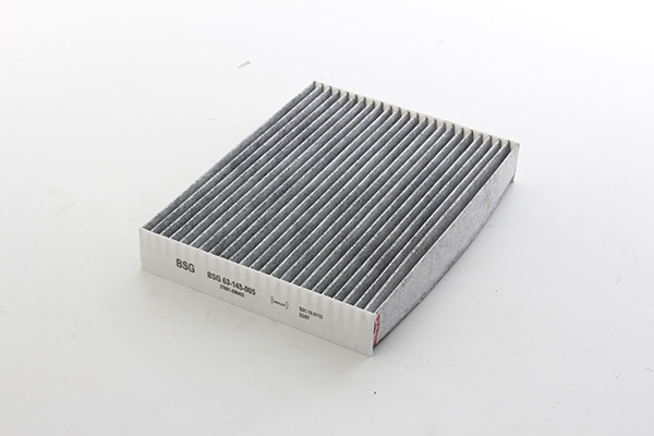 BSG Interieurfilter BSG 63-145-005