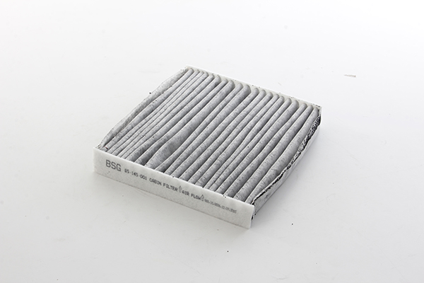 BSG Interieurfilter BSG 85-145-002