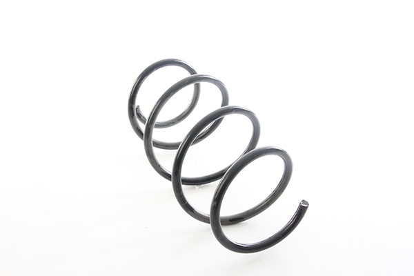 BSG Veer BSG 15-305-010