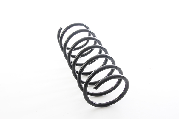 BSG Veer BSG 15-305-018