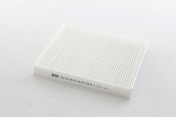 BSG Interieurfilter BSG 25-145-012