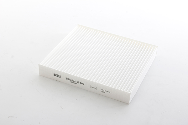 BSG Interieurfilter BSG 62-145-002