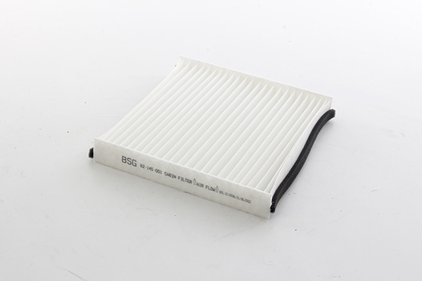 BSG Interieurfilter BSG 82-145-001