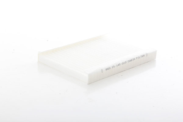 BSG Interieurfilter BSG 25-145-010