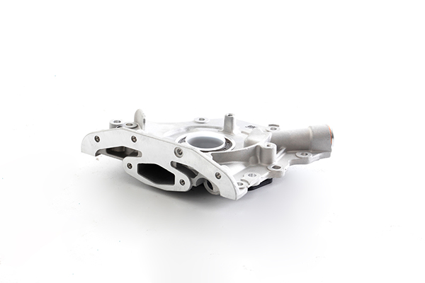 BSG Oliepomp BSG 30-101-005