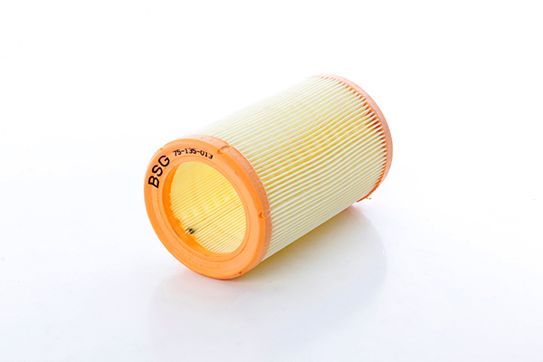 BSG Luchtfilter BSG 75-135-013