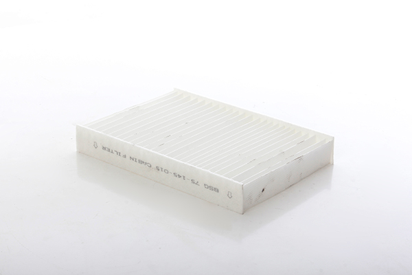 BSG Interieurfilter BSG 75-145-015