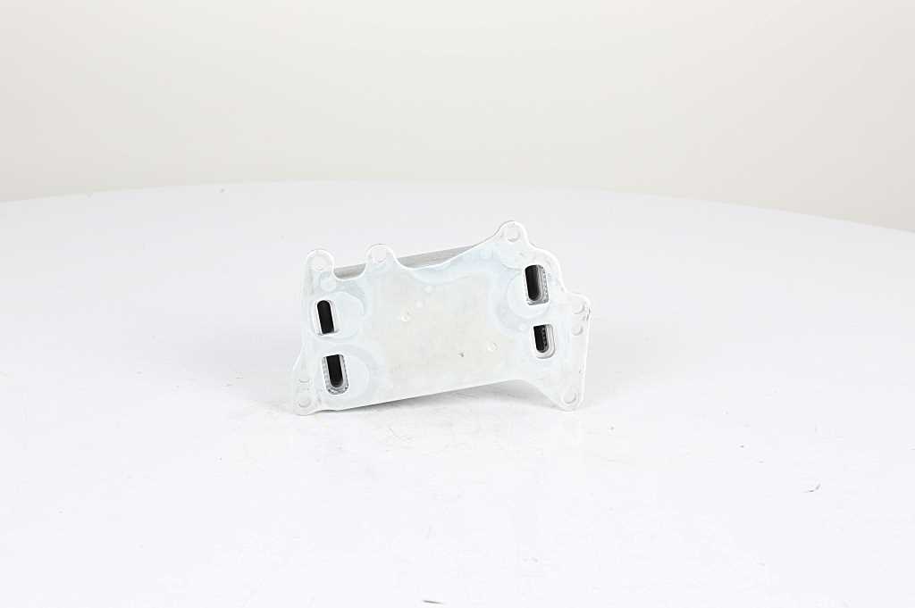 BSG Oliekoeler motorolie BSG 15-506-013