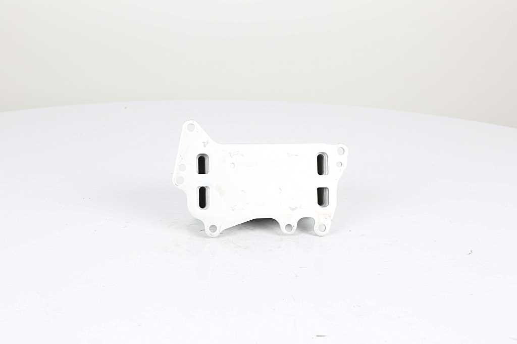 BSG Oliekoeler motorolie BSG 15-506-015