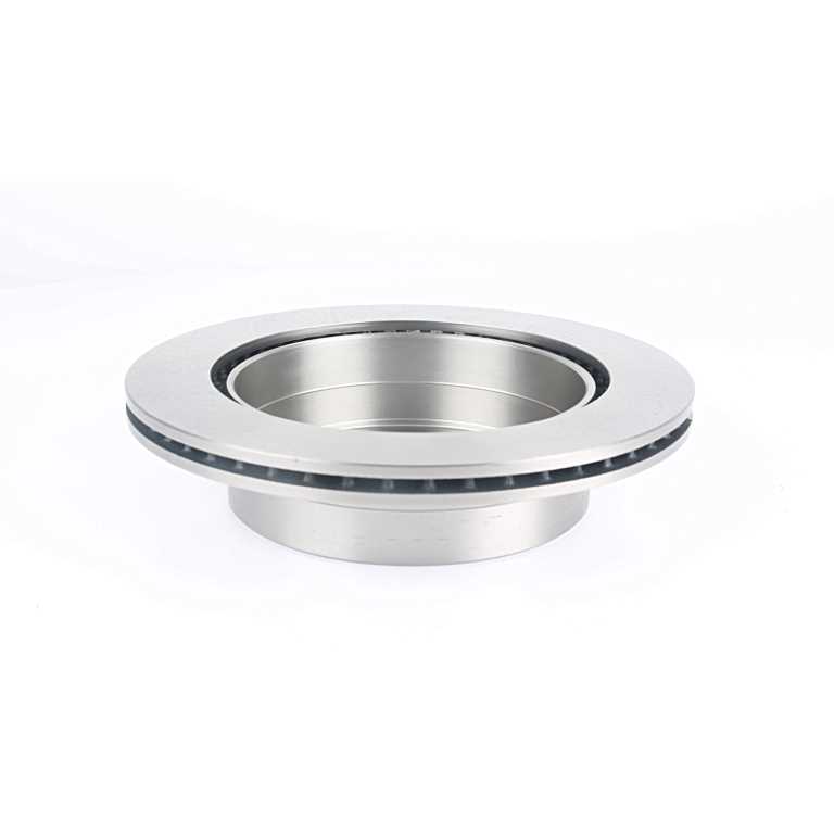 BSG Remschijven BSG 16-210-004