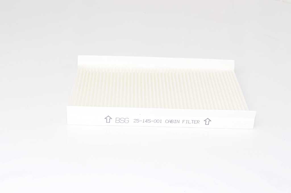 BSG Interieurfilter BSG 25-145-001