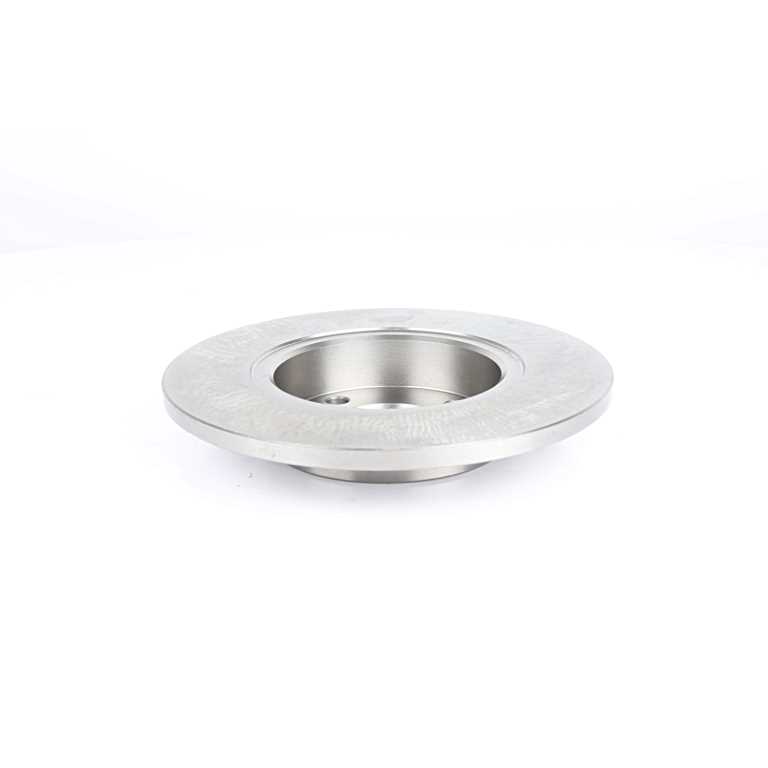 BSG Remschijven BSG 25-210-007