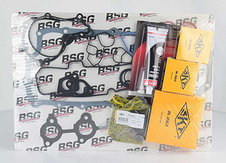 BSG Motorpakking BSG 30-115-006