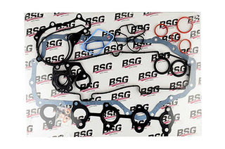BSG Motorpakking BSG 30-115-020