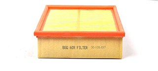BSG Luchtfilter BSG 30-135-017