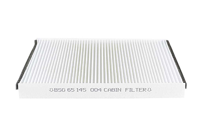 BSG Interieurfilter BSG 65-145-004