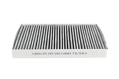 BSG Interieurfilter BSG 65-145-010