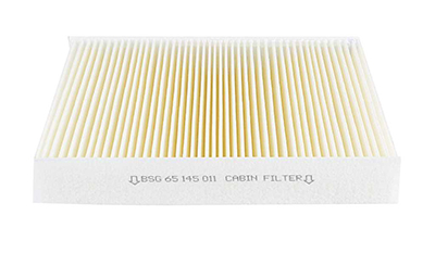 BSG Interieurfilter BSG 65-145-011