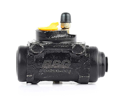 BSG Wielremcilinder BSG 70-220-001