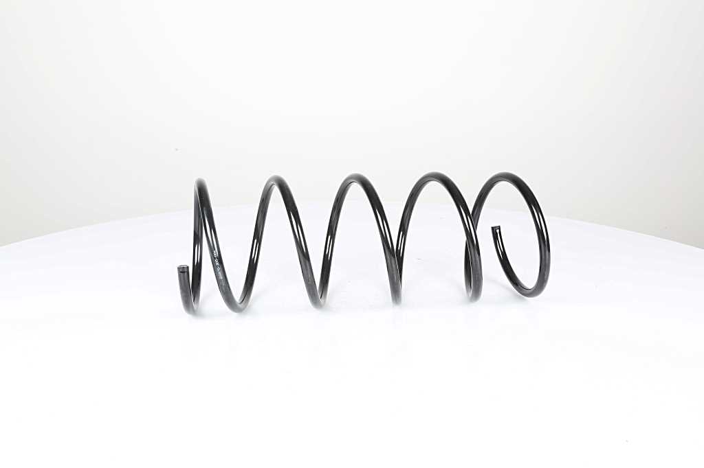 BSG Veer BSG 70-305-004