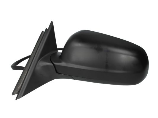 Blic Buitenspiegel 5402-04-1125111P