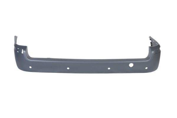 Blic Bumper 5506-00-2555953P