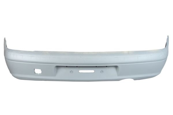 Blic Bumper 5506-00-2563957Q